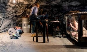 Girl at the Window | Film réalisé par Mark Hartley en 2022 avec Ella Newton, Radha Mitchell, Simone Buchanan, Karis Oka