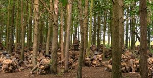 Les hommes de troupe d'un régiment britannique sont assis en silence au milieu des arbres en écoutant un soldat chanter la chanson I Am a Poor Wayfaring Stranger dans le film 1917